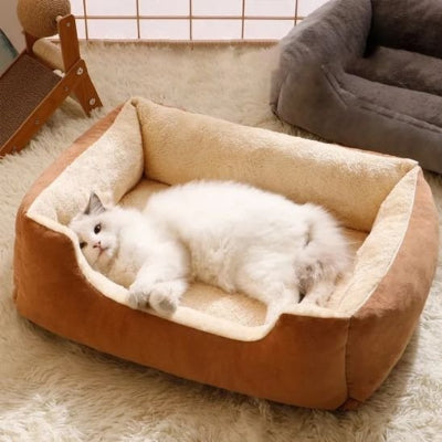 félin allongé dans son lit pour chat