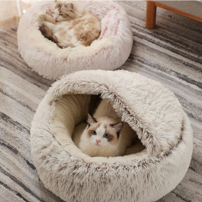félins installés sur leur coussin à chat modulable