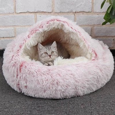 félin installé dans son coussin à chat reposant
