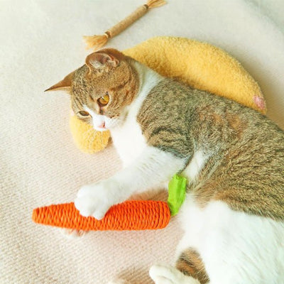 félin jouant tranquillement sur son coussin banane pour chat jaune