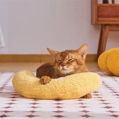 félin allongé avec son coussin banane pour chat ergonomique