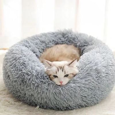 félin dormant sereinement sur son coussin chat gris
