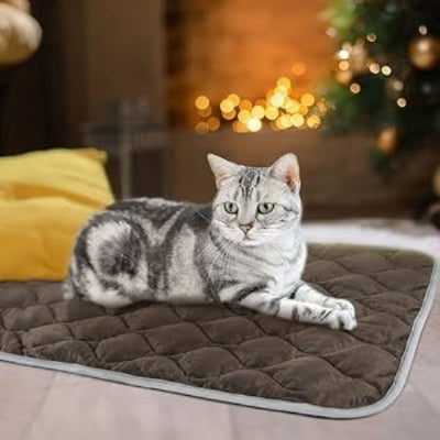 félin installé sur son coussin chat bleu au fond antidérapant