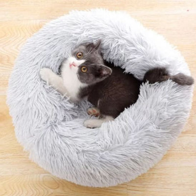 félin allongé sur son coussin chat gris et doux