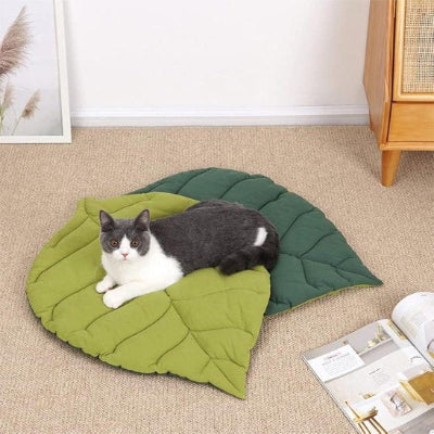 félin allongé paisiblement sur son coussin chat en forme de feuille