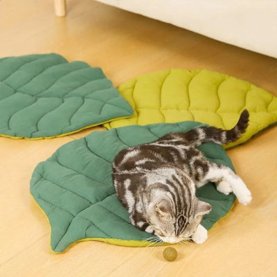 félin jouant sur son coussin chat en forme de feuille