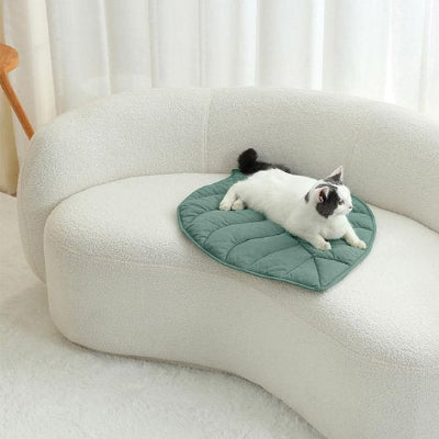 félin allongé sur son coussin chat en forme de feuille verte