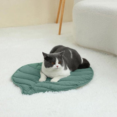 félin allongé sur son coussin chat en forme de feuille