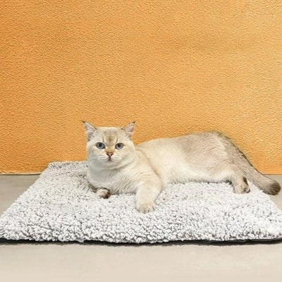 félin allongé sur son coussin chat  gris antidérapant