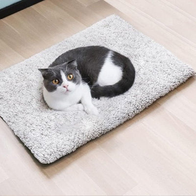 félin installé tranquillement sur son coussin chat gris ergonomique