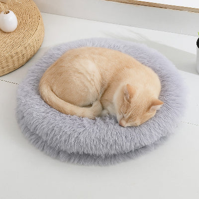 félin couché sur son coussin chat gris