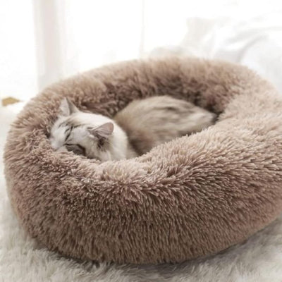 félin dormant paisiblement dans son coussin chat moelleux marron