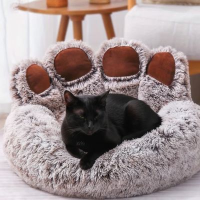 félin installé sur son coussin chat en forme de patte d'animal