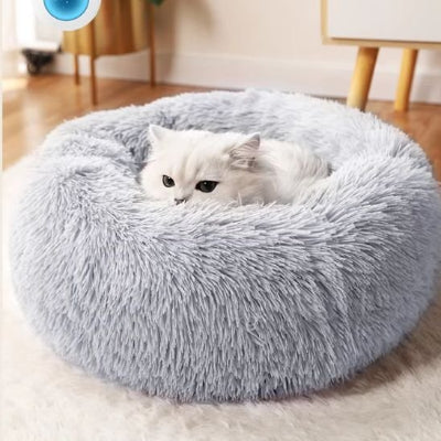 félin blottie dans son coussin chat gris en toute sécurité