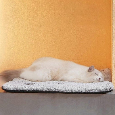 félin dormant sereinement sur son coussin chat thérapeutique gris douillet