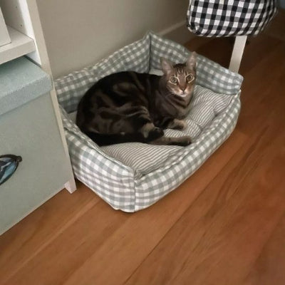 COUSSIN POUR CHAT CONFORTABLE AINALRAMI