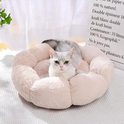 chat installé confortablement sur le coussin pour chat douillet 