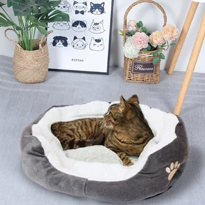 COUSSIN POUR CHAT ERGONOMIQUE