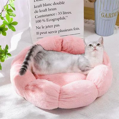 félin allongé paisiblement sur son coussin pour chat de couleur rose