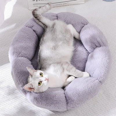 félin couché sur son coussin pour chat apaisant de couleur lavande 