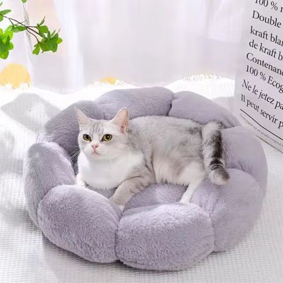 félin se reposant sur son coussin pour chat apaisant de couleur lavande
