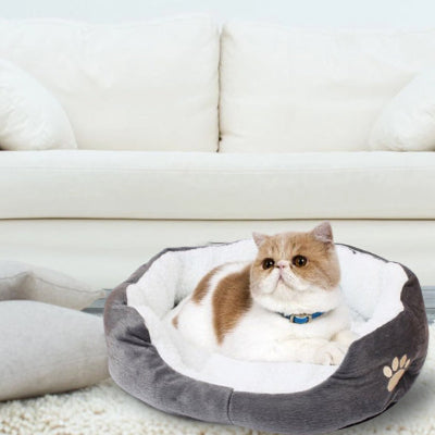 COUSSIN POUR CHAT OVALE