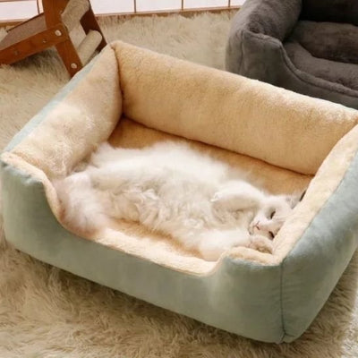 félin blanc installé sur le dos dans son lit chat chaleureux