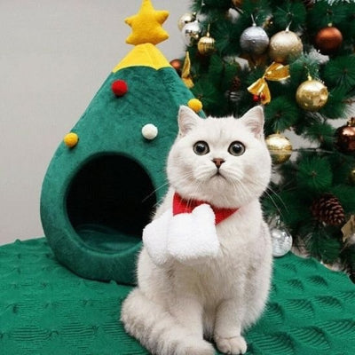 félin assis à côté du lit chat en forme de sapin de noël