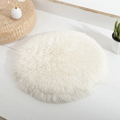 coussin chat blanc