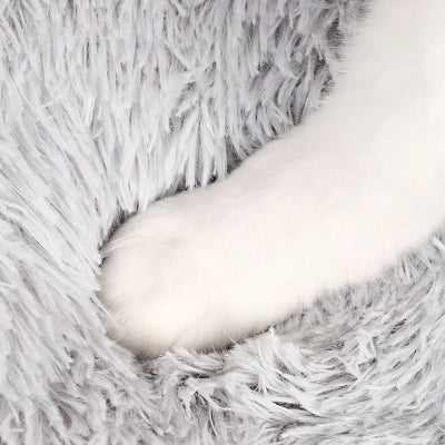 patte félin coussin chat douillet