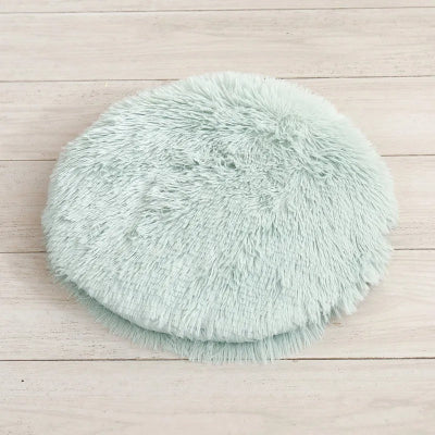 coussin chat vert
